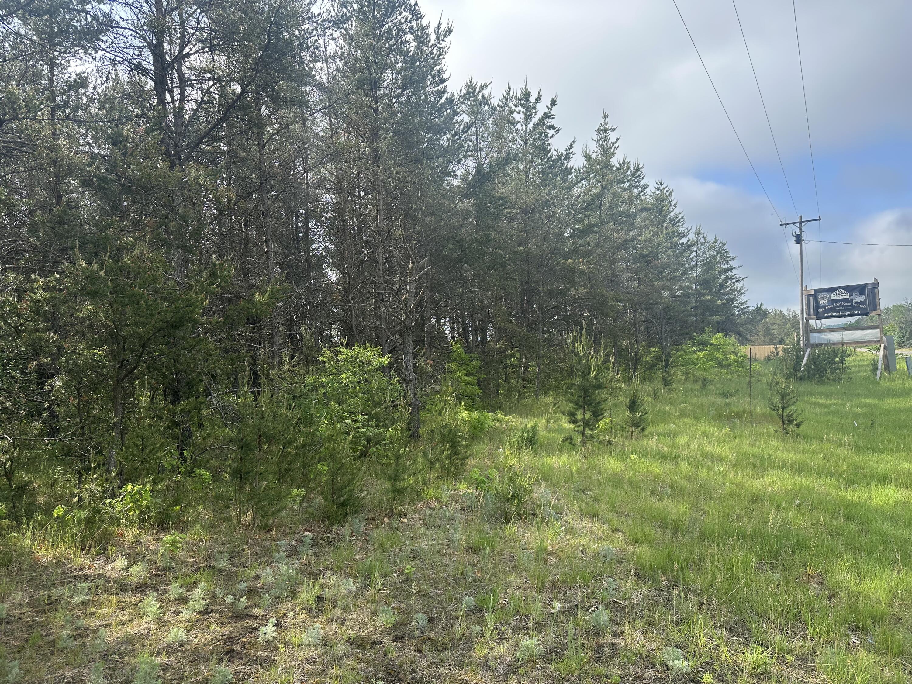 Photo 1 of 8 — 10424 N Merrillville Road, Irons, MI 49644