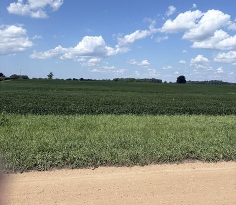 Photo for Maple Grove Road