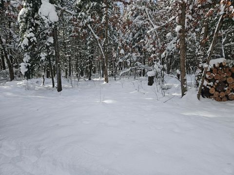 Photo of 7106 N M-37, Irons, MI 49644 (MLS # 25060803)