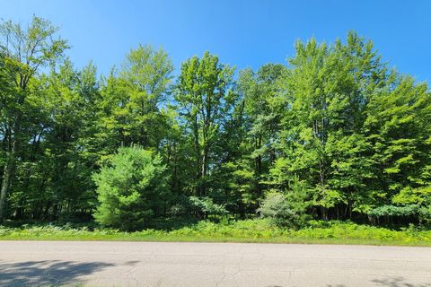 6127 Fawn Lake Drive Canadian Lakes MI 49346