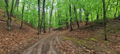 Photo of Avenue D, Pentwater, MI 49449 (MLS # 25031645)