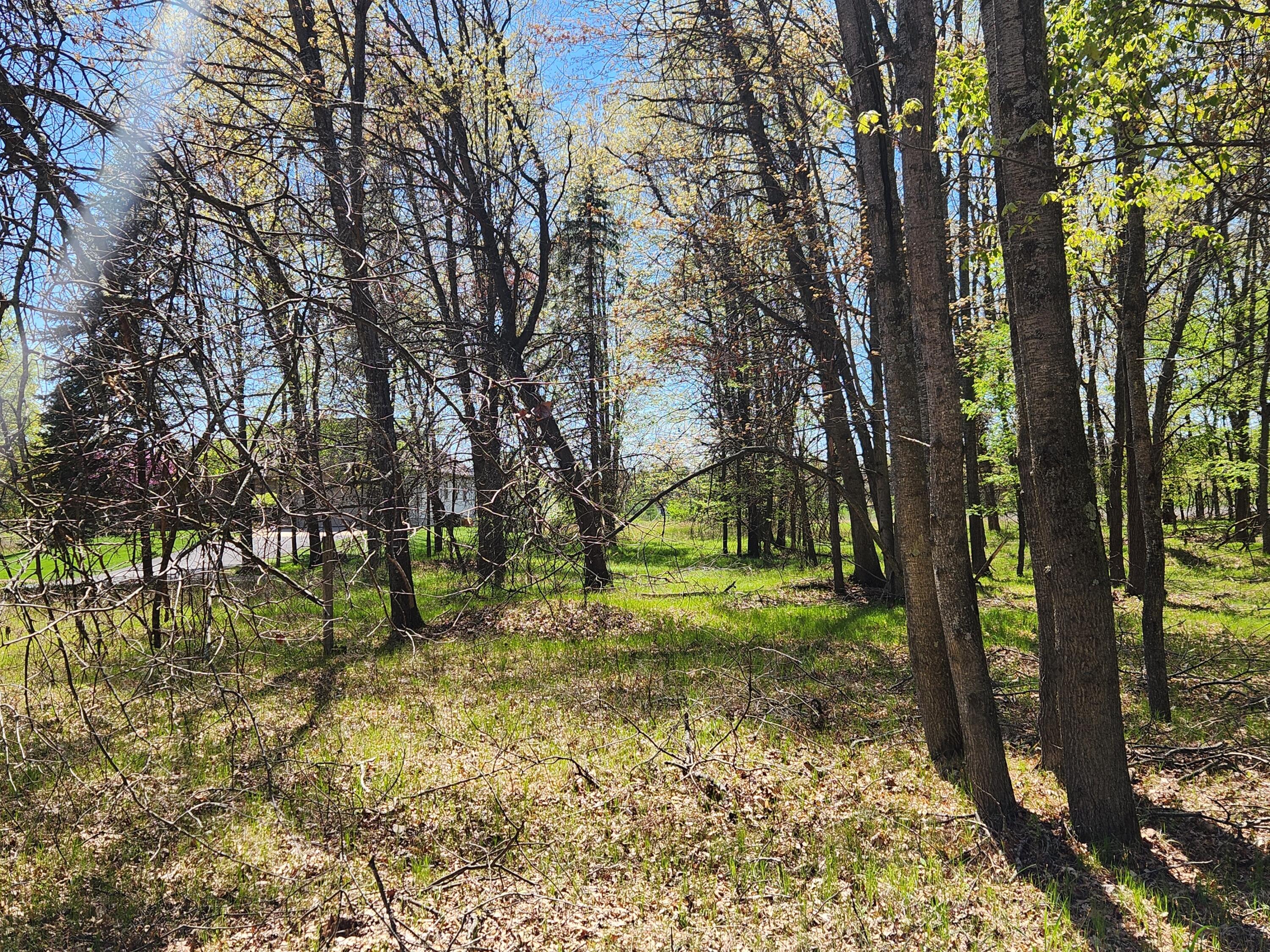 6923 Abbey Lane
