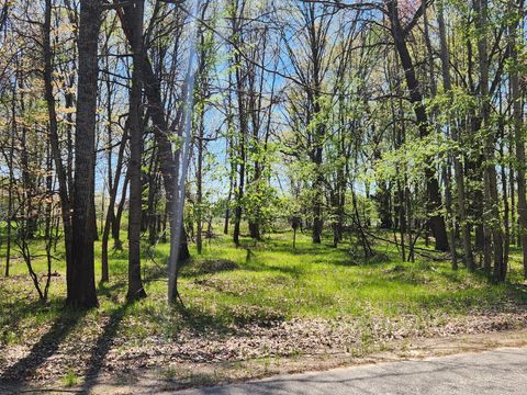 6923 Abbey Lane Canadian Lakes MI 49346