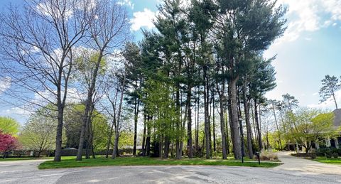 Photo of 1912 Hidden Pines Trail, Stevensville, MI 49127 (MLS # 26017502)