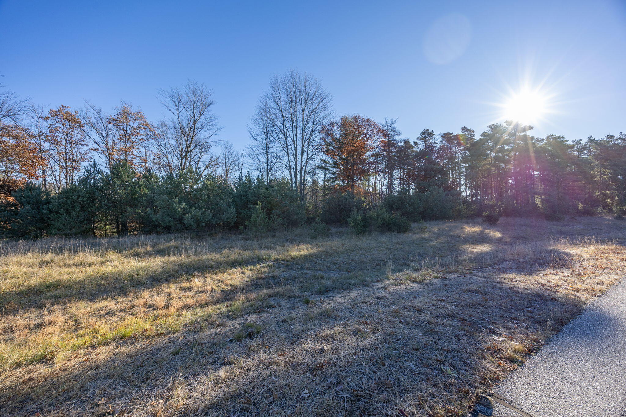 11253 Killarney Drive