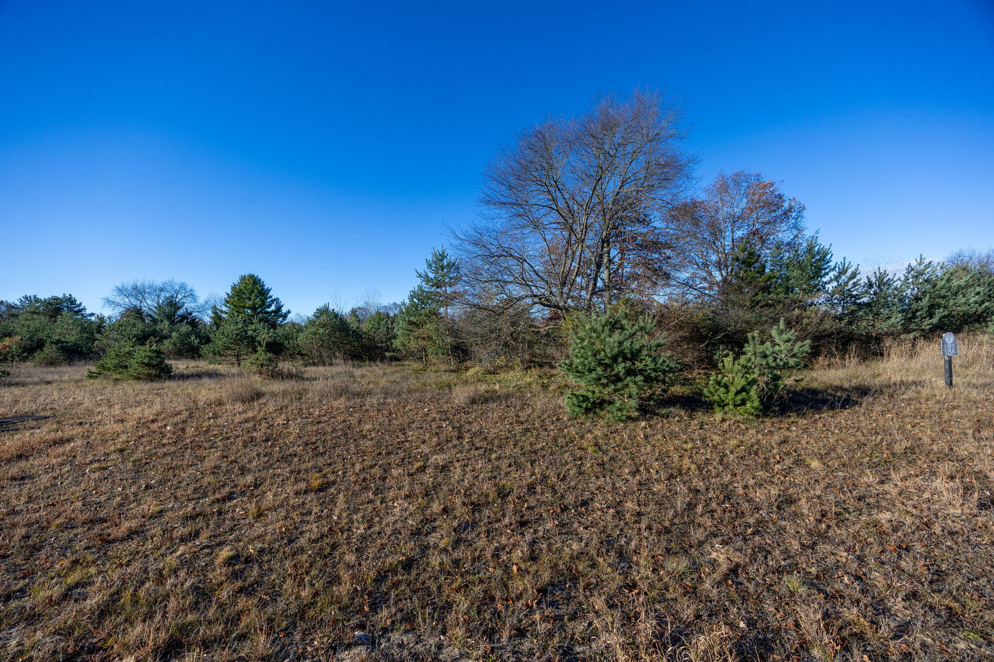 11253 Killarney Drive