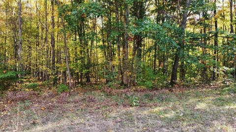 Featured picture for the property 26054398
