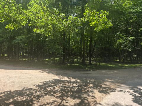 12121 Trail Creek Canadian Lakes MI 49346