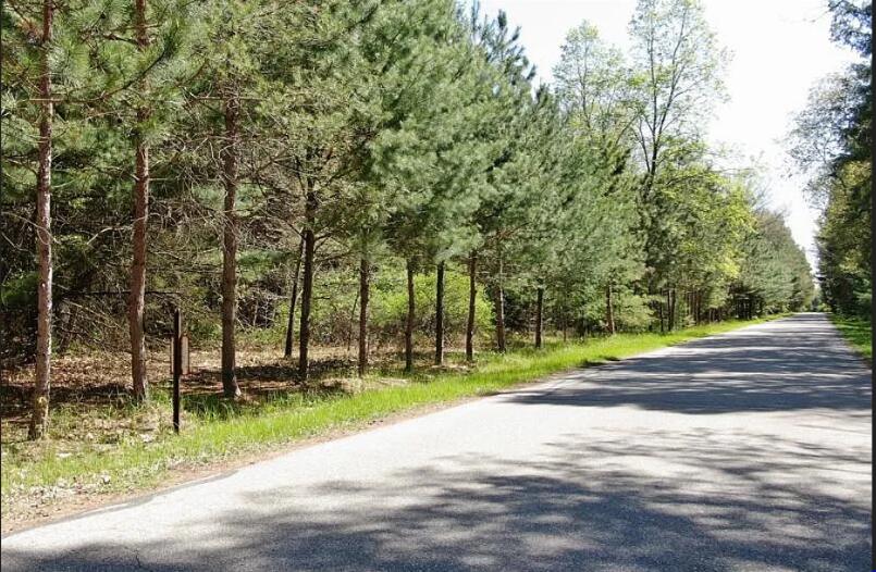 9101 Forest Pines Drive