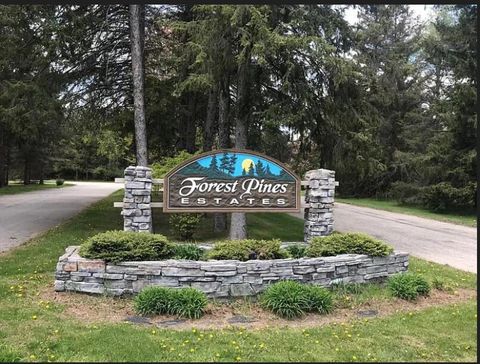 Photo of 9101 Forest Pines Drive, Mecosta, MI 49332 (MLS # 25037965)