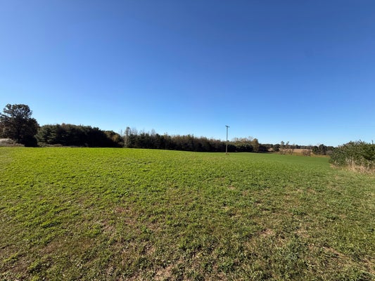 (PARCEL C) 22 MILE ROAD, MARSHALL, MI 49068 - Image 13eb2ffa28990e894a0e808efb3f1aef/1183309145