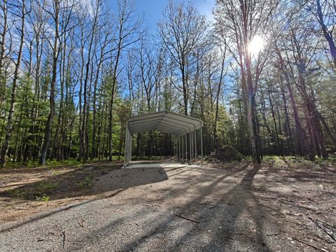 Photo of 10650 Old Free Soil Rd., Free Soil, MI 49411 (MLS # 25018028)