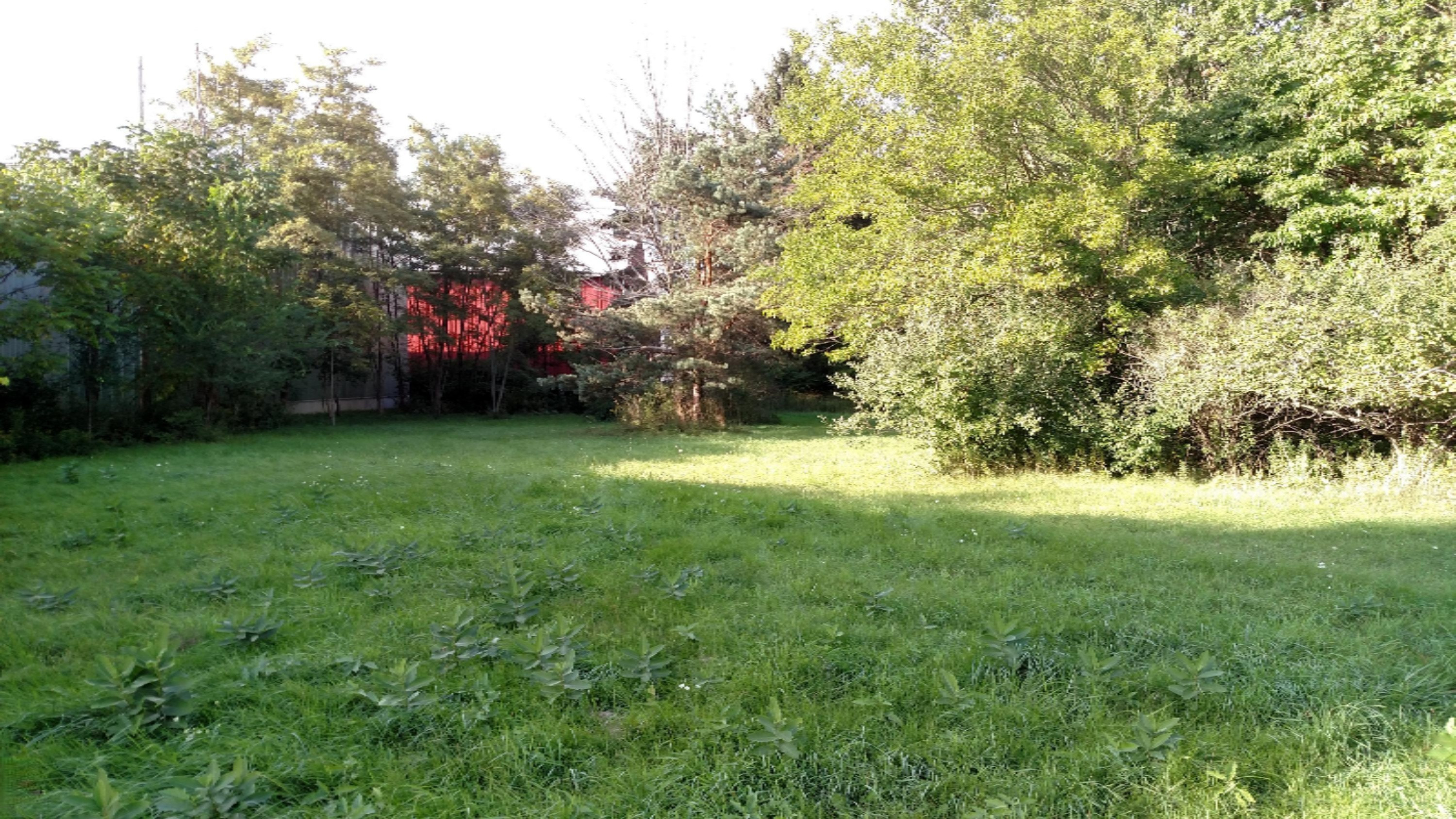 382 W Center Street, Douglas, MI 49406 MLS 20015983 Listing