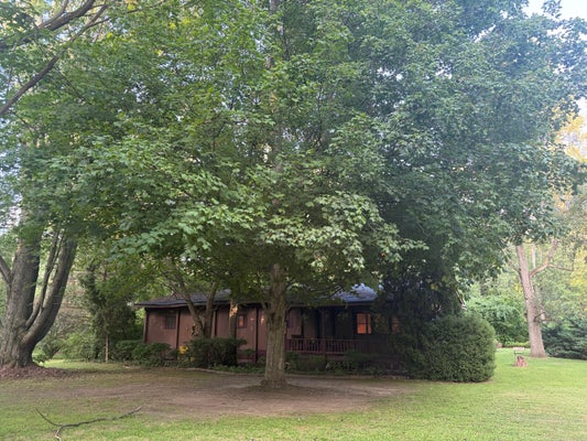 8830 ZION RD, RIVES JUNCTION, MI 49277 - Image 14c9bbf172cdbcf576d331f70c6ea125/114727626