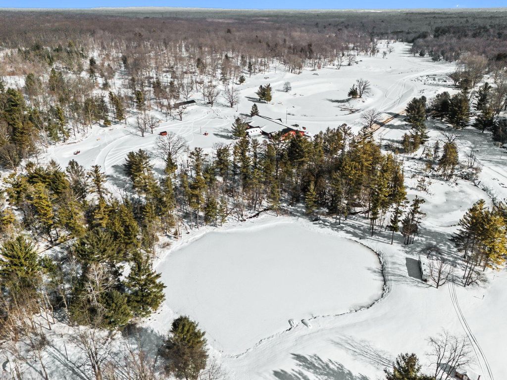 Photo of 6356 S Outer Loop Drive, Custer, MI 49405 (MLS # 26005713)