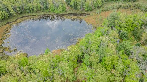 Photo of VL S Tacoma Street, Idlewild, MI 49642 (MLS # 25003262)