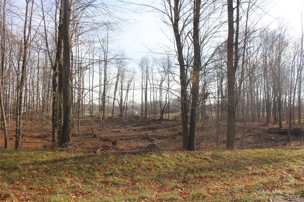 0 LINDSEY UNIT 14 ROAD, JACKSON, MI 49201 - Image 153b368a794369ebcd40e07c09d34fca/739627446