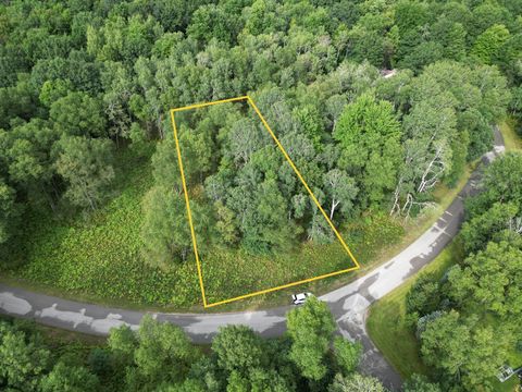 6188 Fox Run Circle Canadian Lakes MI 49346