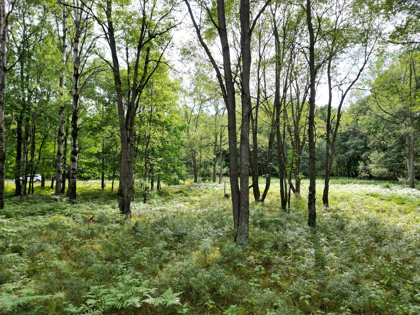 6188 Fox Run Circle