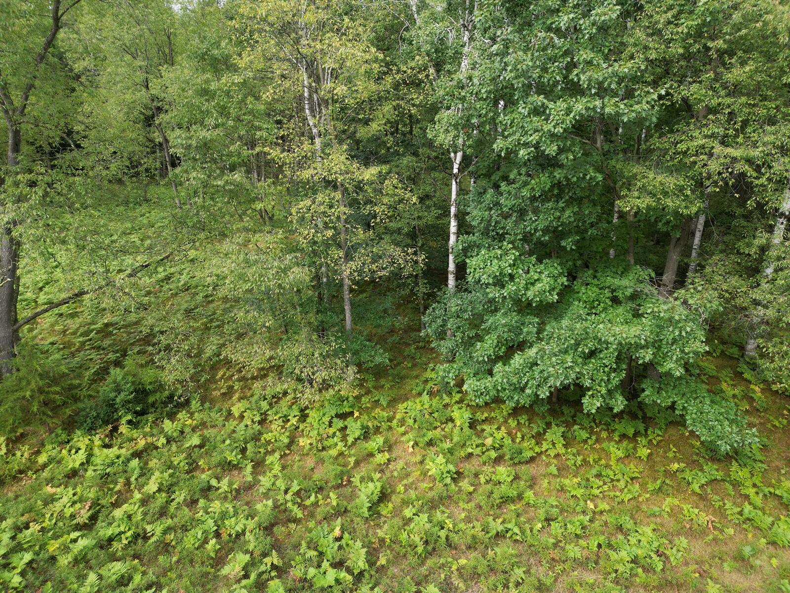 6188 Fox Run Circle
