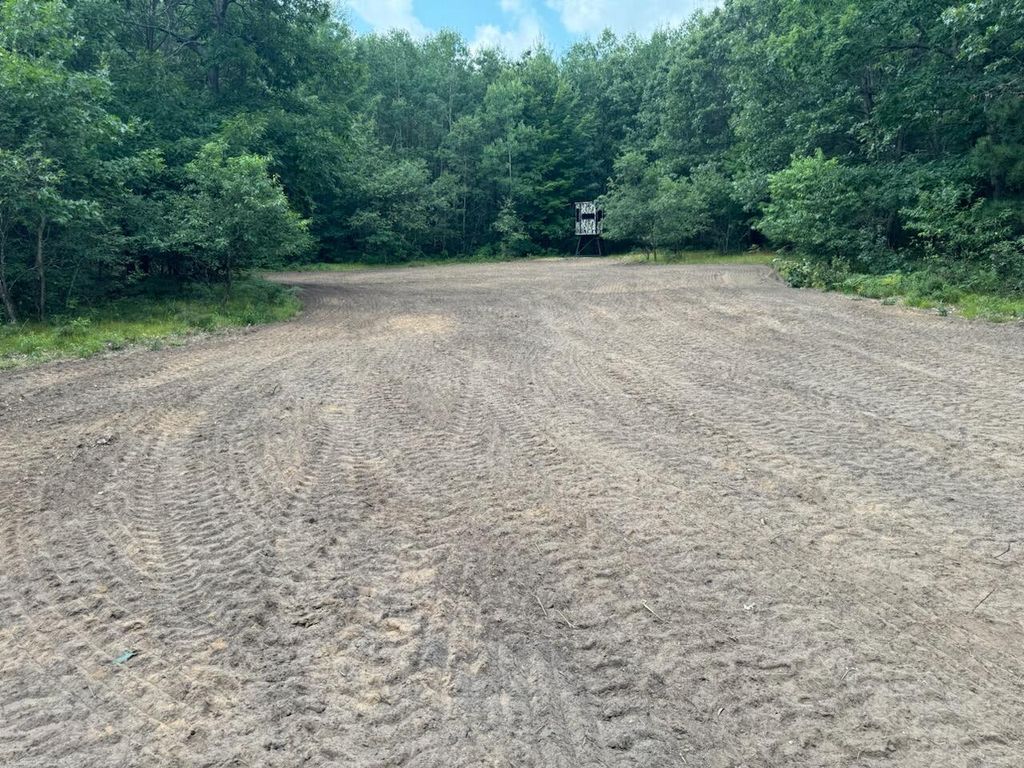 Photo of V/L Dexter Road, Wellston, MI 49689 (MLS # 26005795)