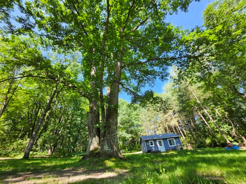 Photo of 2867 E Hawley Road, Custer, MI 49405 (MLS # 26036127)