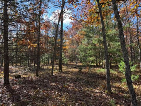 Photo of Parcel 6 County Line Road, Free Soil, MI 49411 (MLS # 26009983)