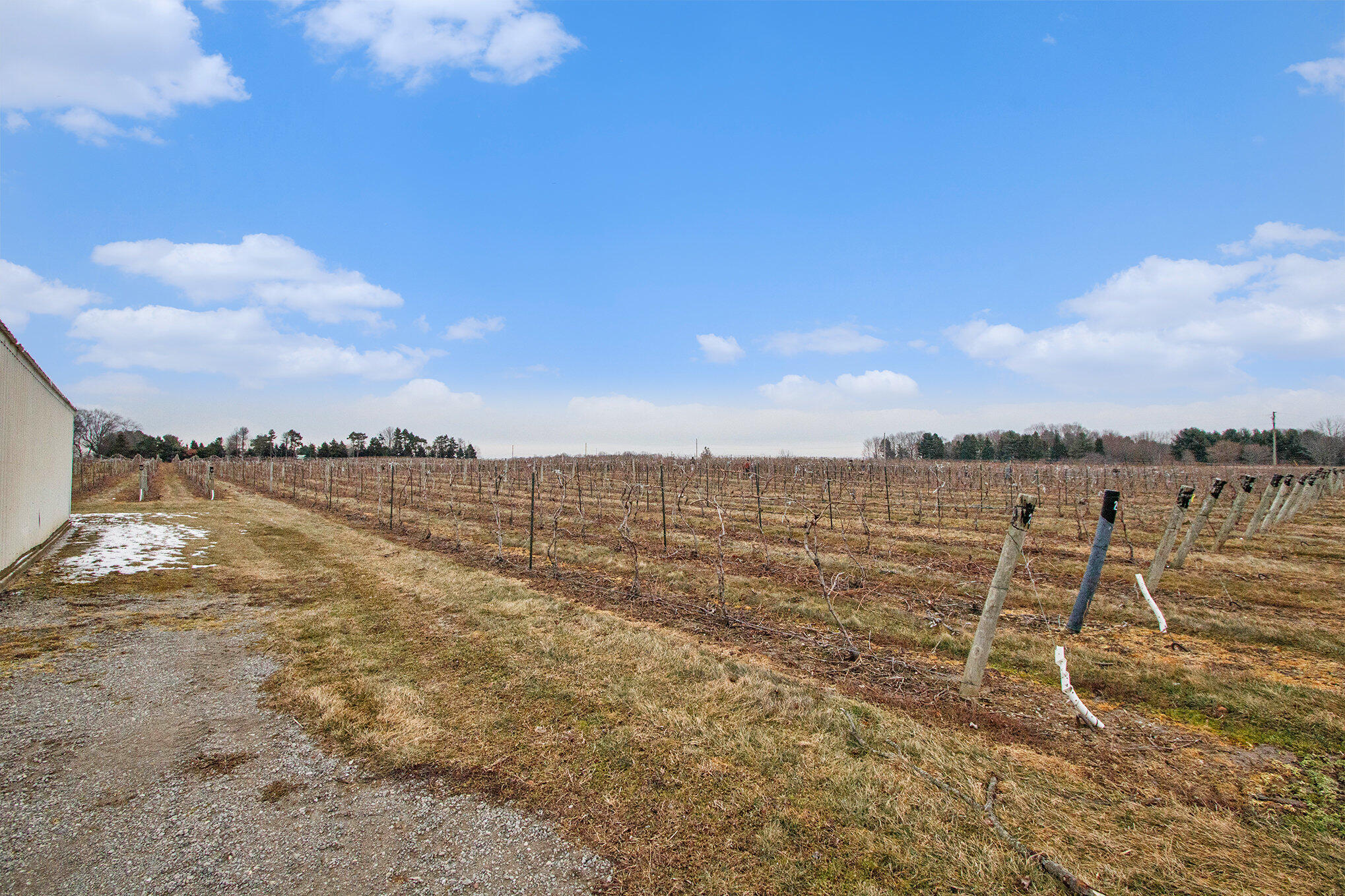 Scottdale Road