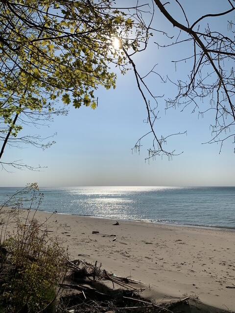 Coloma, Michigan 49038, United States, 2 Bedrooms Bedrooms, ,1 BathroomBathrooms,Residential,Pending,2155