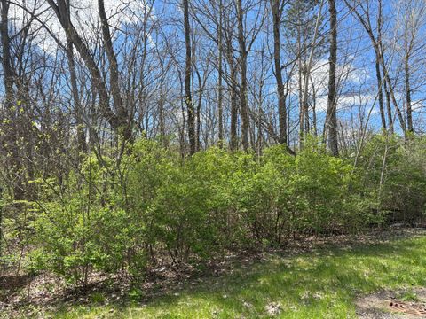 Photo of 1476 Valley View Drive, Niles, MI 49120 (MLS # 26016631)
