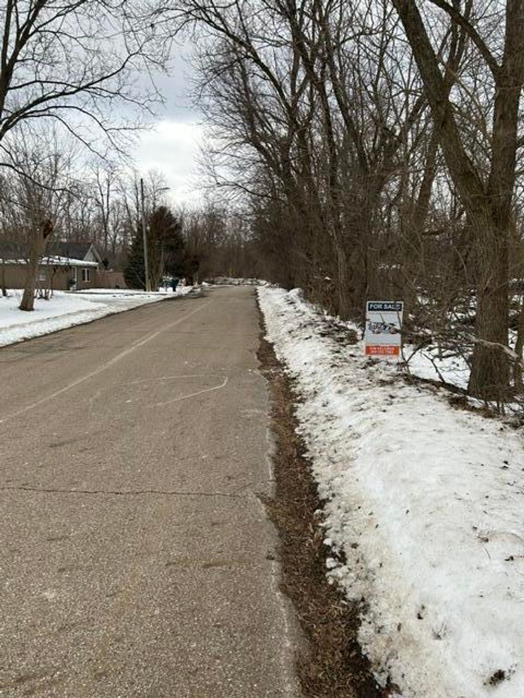 Photo of 250 N 16th Street N, Springfield, MI 49037 (MLS # 26005321)