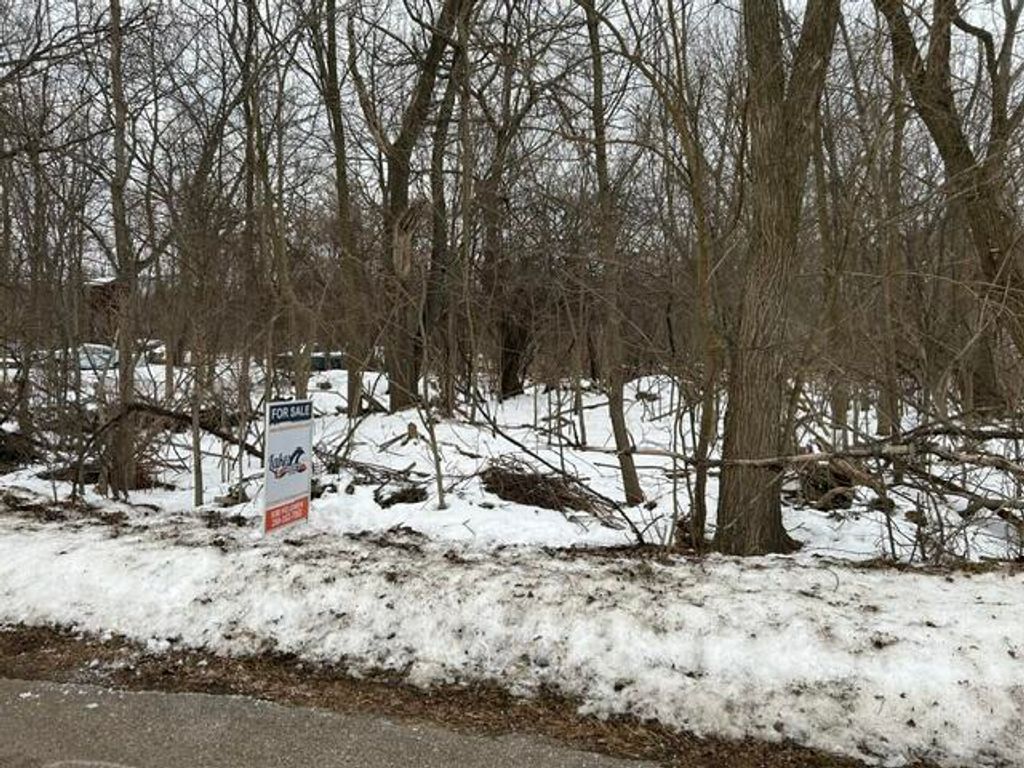 Photo of 250 N 16th Street N, Springfield, MI 49037 (MLS # 26005321)