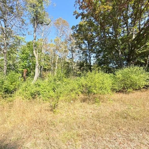 V/L 7 MIle Road Stanwood MI 49346