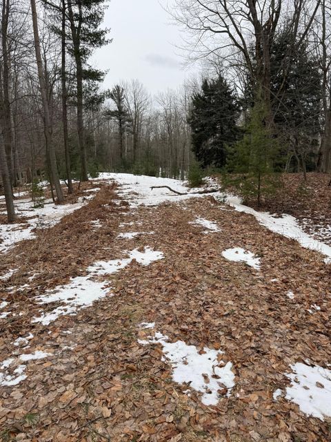 Photo of West Fox Farm Road, Manistee, MI 49660 (MLS # 26007403)