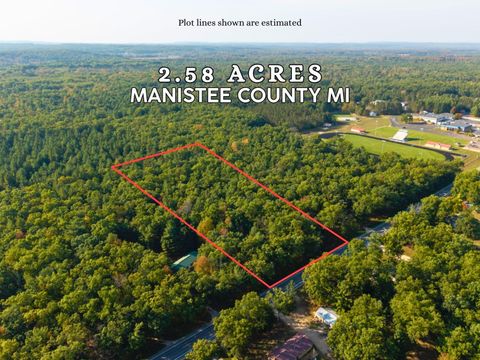 Photo of VL N High Bridge Road, Brethren, MI 49619 (MLS # 25051222)