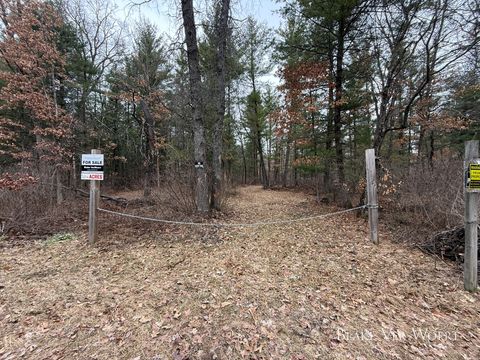 Photo of V/L 20.49A E 15 Mile Road, Bitely, MI 49309 (MLS # 26013224)