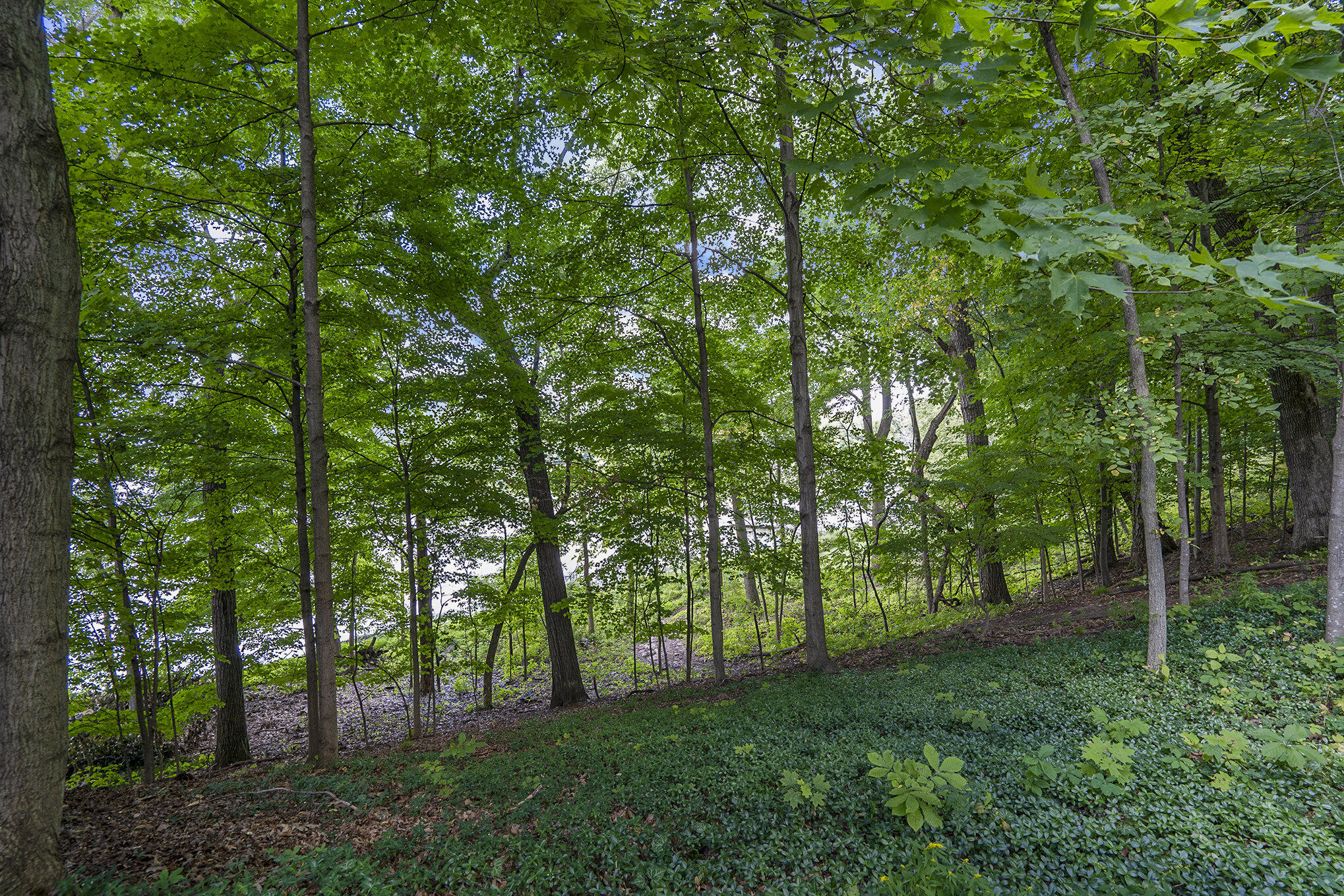 Richland, Michigan 49083, United States, ,Land,Active,82594