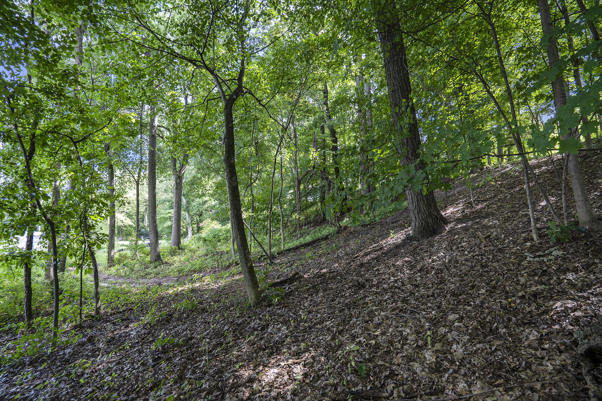 Richland, Michigan 49083, United States, ,Land,Active,82594