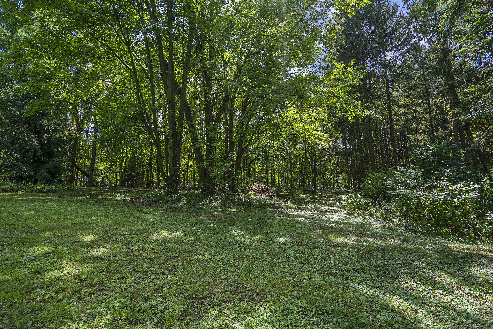 Richland, Michigan 49083, United States, ,Land,Active,82594