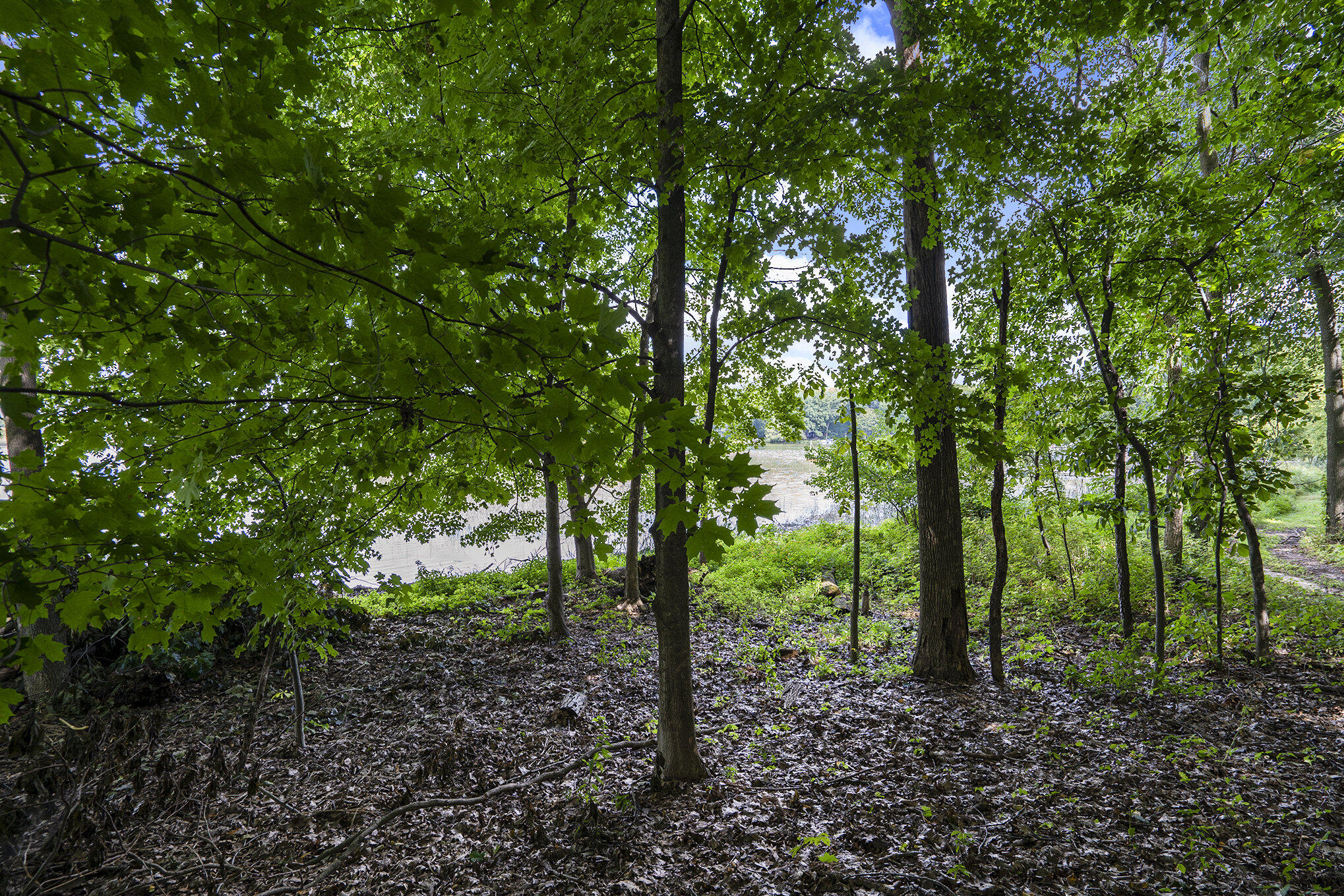 Richland, Michigan 49083, United States, ,Land,Active,82594