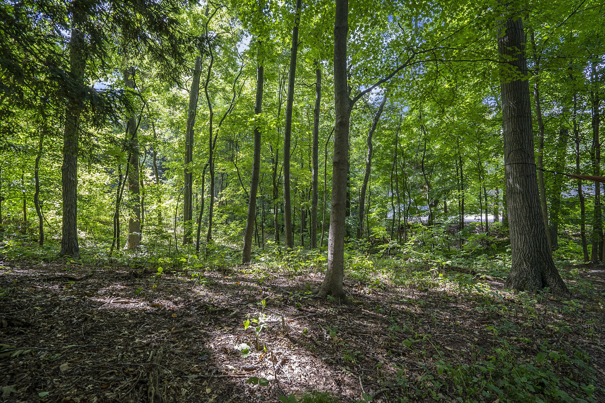 Richland, Michigan 49083, United States, ,Land,Active,82594