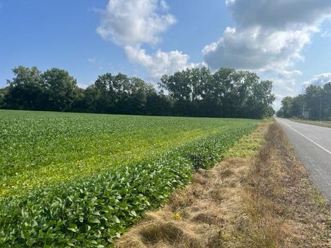 Photo of Wilson Road #B, New Buffalo, MI 49117 (MLS # 25060005)