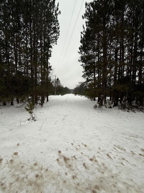 Photo of 14124 Healy Lake Road, Bear Lake, MI 49614 (MLS # 25062262)