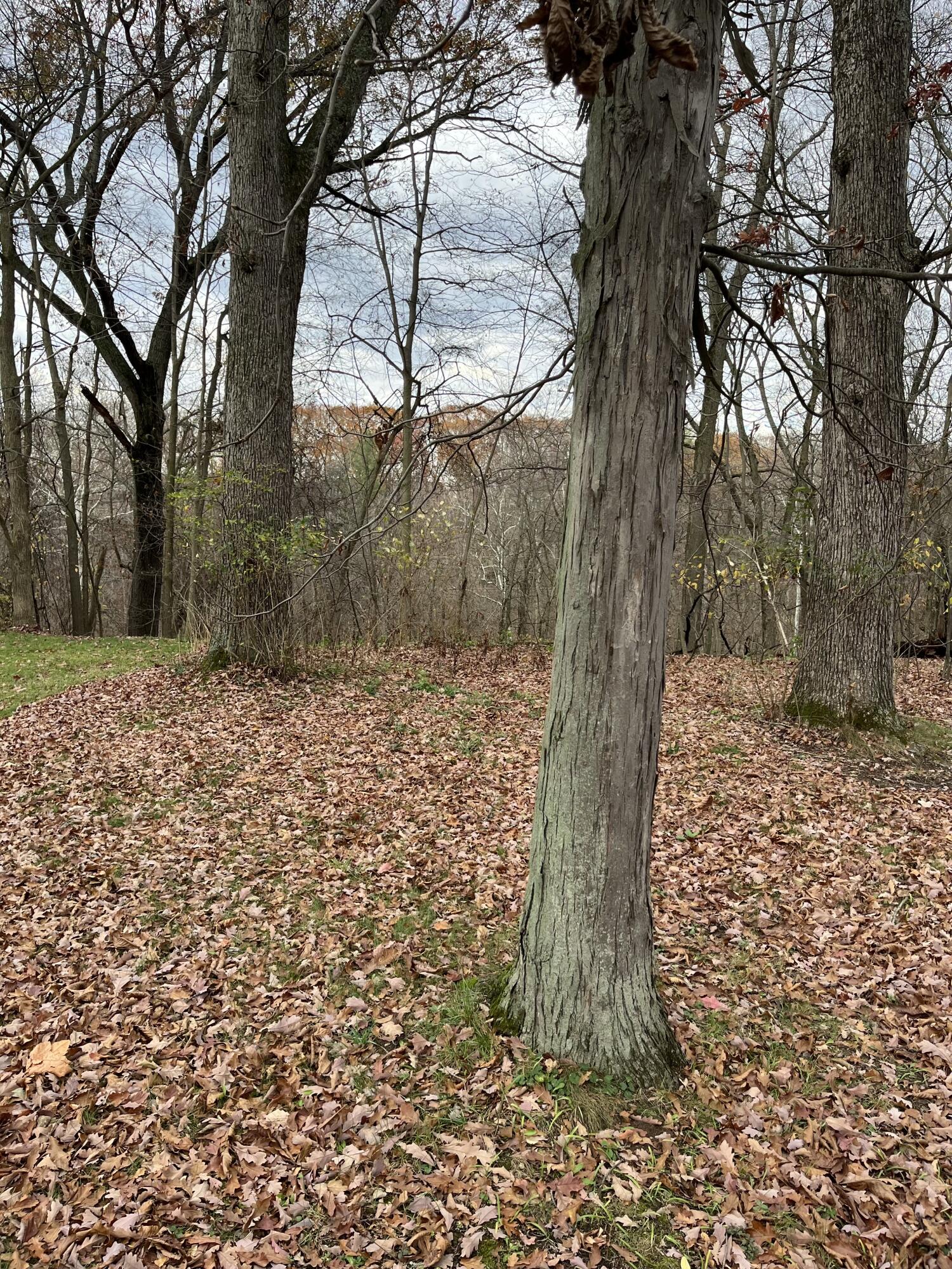 Allegan, Michigan 49010, United States, ,Land,Active,37349