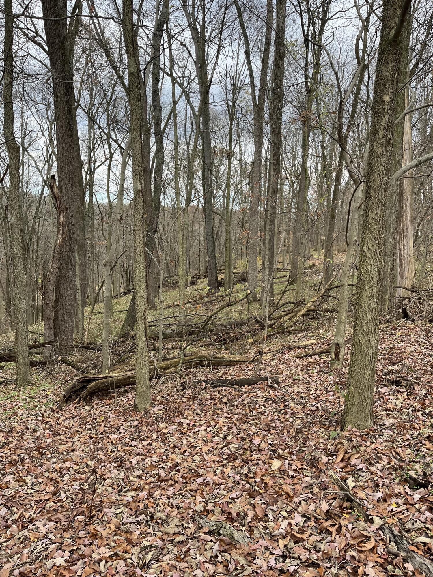 Allegan, Michigan 49010, United States, ,Land,Active,37349