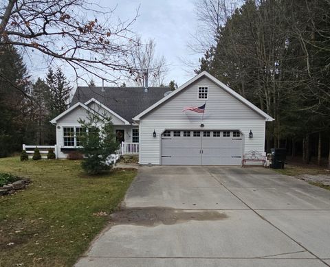 9138 White Pine Drive Canadian Lakes MI 49346