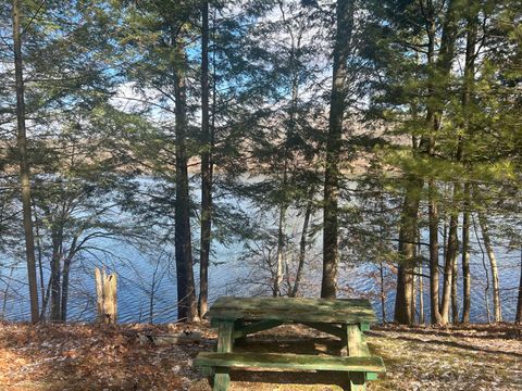 8786 N Island Drive Canadian Lakes MI 49346