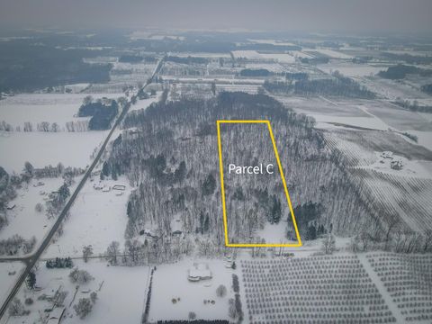 Photo of Parcel C W Grant Road, New Era, MI 49446 (MLS # 25062185)