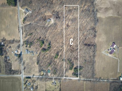Photo of Parcel C W Grant Road, New Era, MI 49446 (MLS # 25062185)