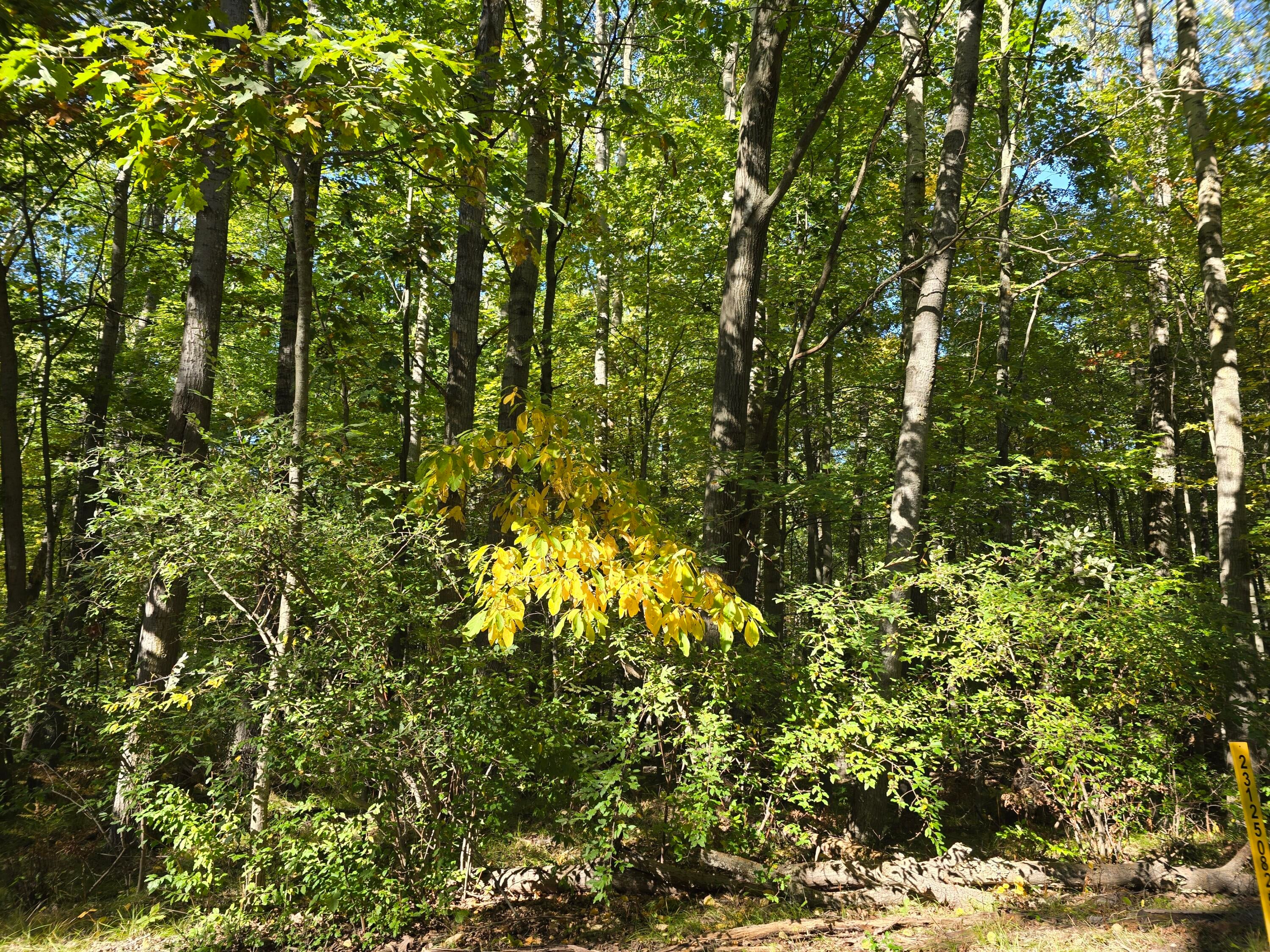 11980 Cape Breton Drive